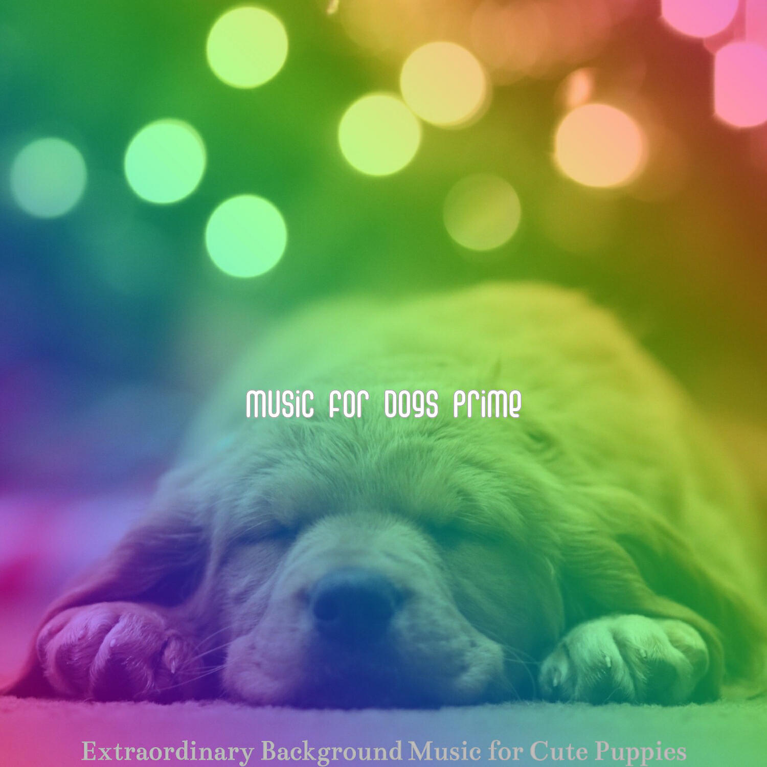 Music for Dogs Prime - Trio Jazz Soundtrack for Dogs