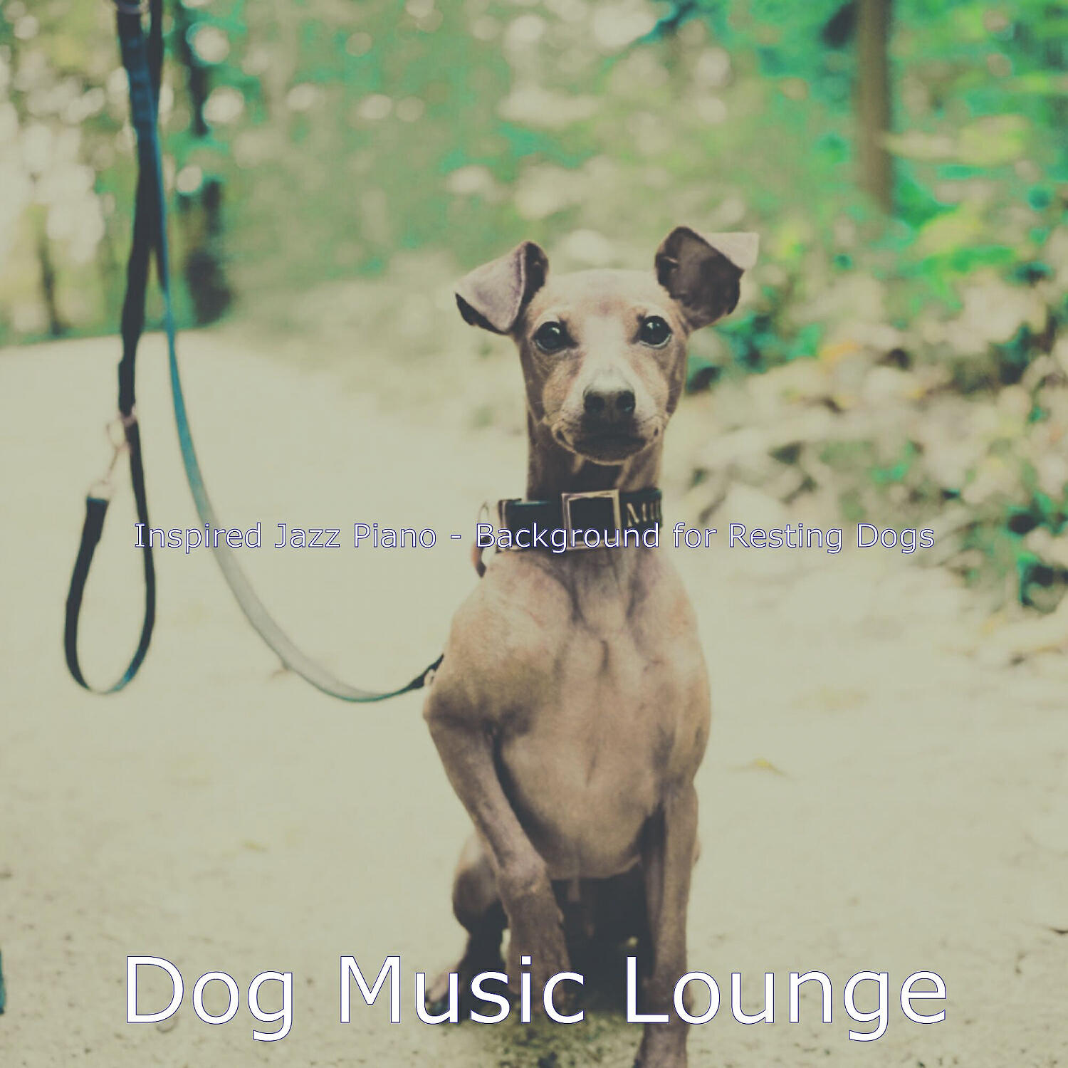 Dog Music Lounge - Piano Jazz Soundtrack for Resting Dogs