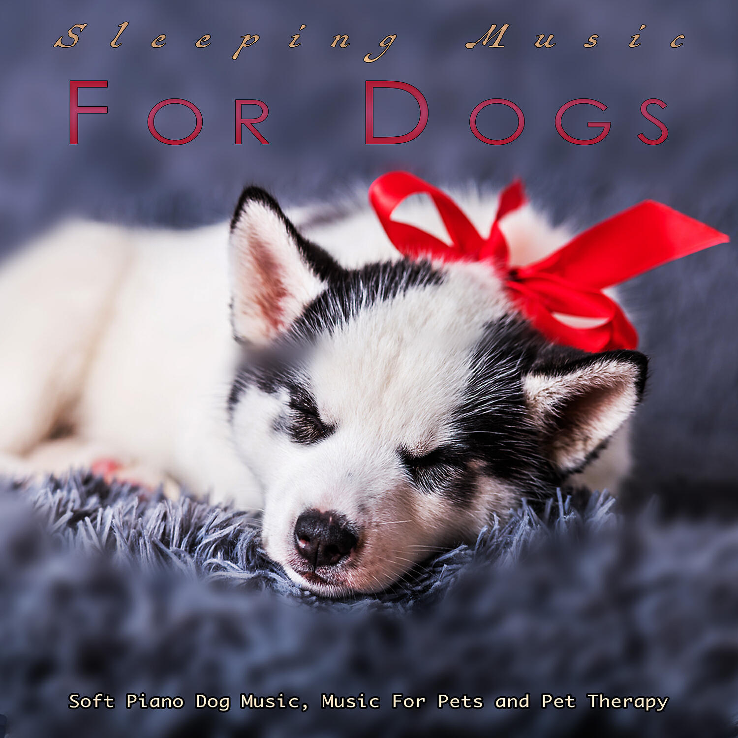 Dog Music - Sleep Playlist