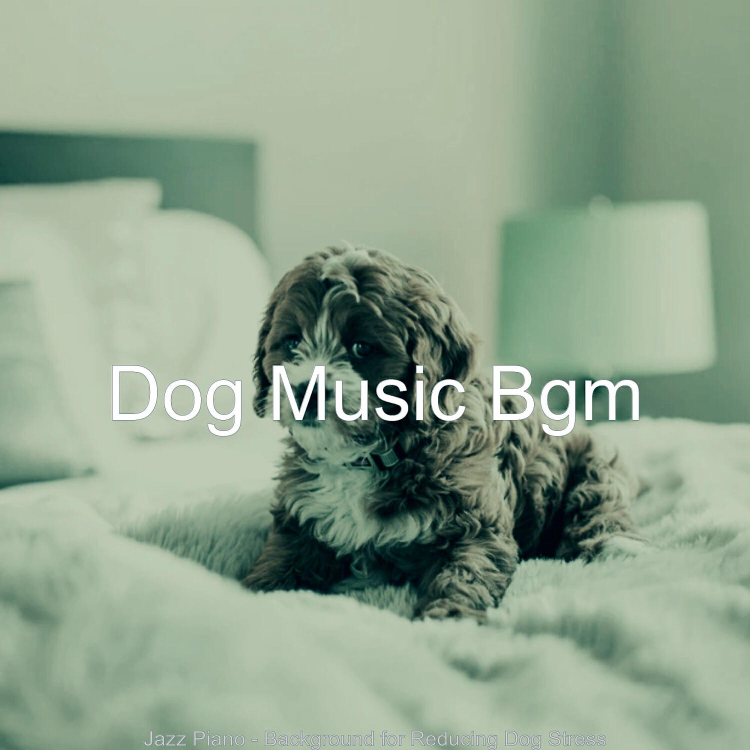 Dog Music Bgm - Artistic Solo Piano Jazz - Vibe for Reducing Dog Stress