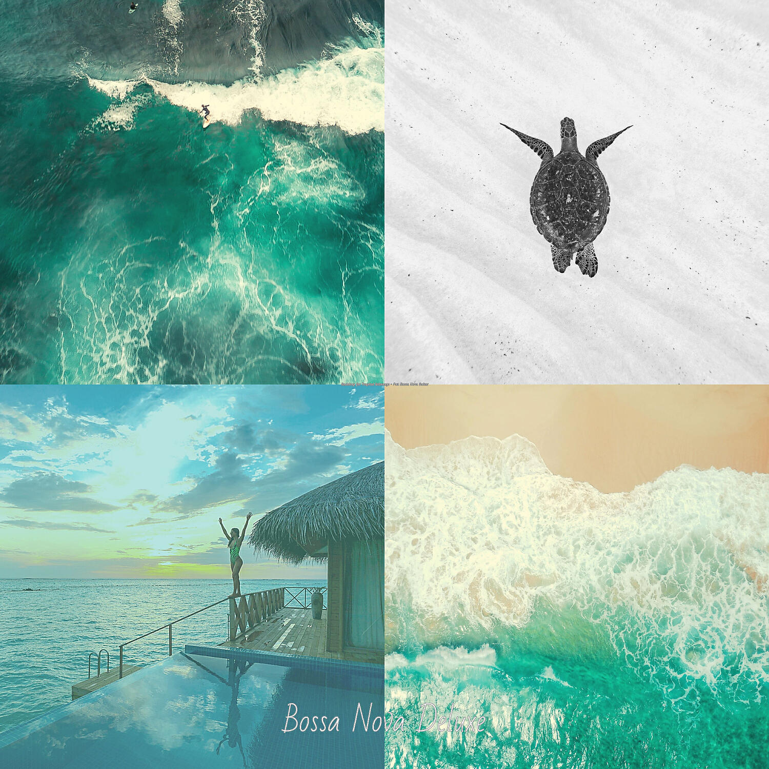 Bossa Nova Deluxe - Background for Tropical Holidays