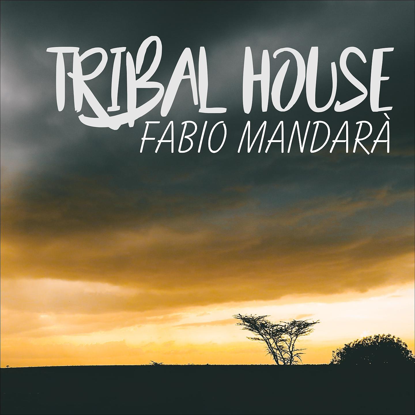 Постер альбома Tribal House