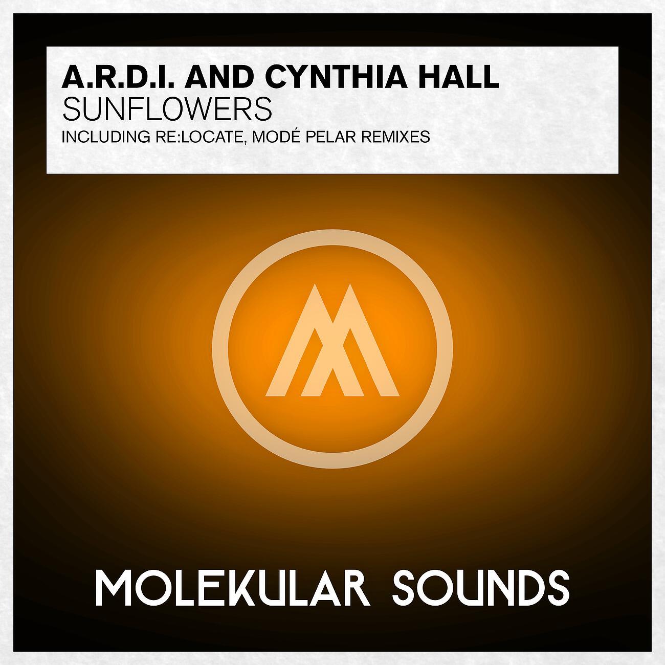A.R.D.I. - Sunflowers (Re:Locate Radio Edit)