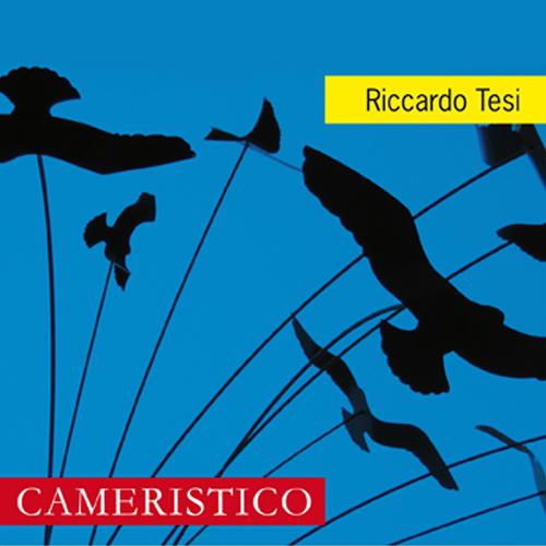 Постер альбома Cameristico