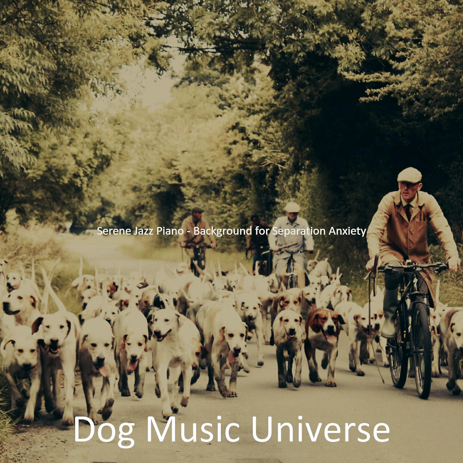 Dog Music Universe - Carefree Solo Piano Jazz - Vibe for Doggy Training