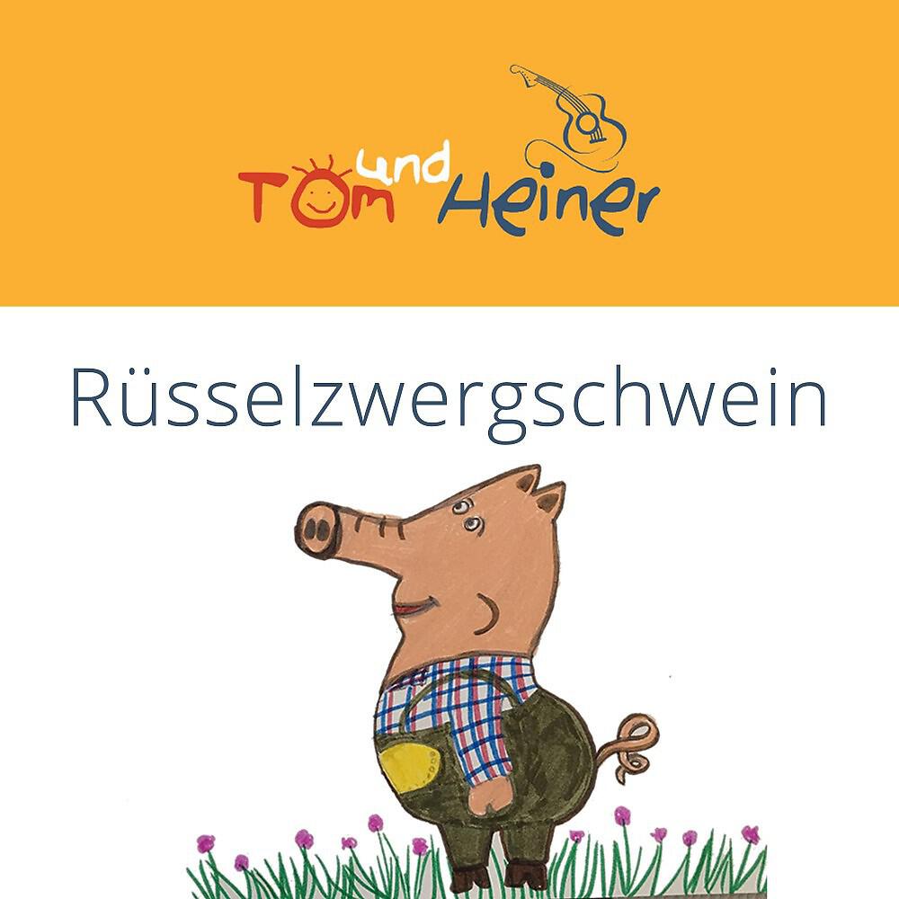 Tom - Rüsselzwergschwein