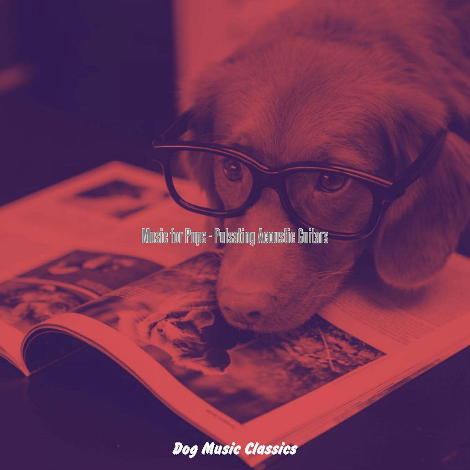 Dog Music Classics - Easy Listening Acoustic Guitar Soundtrack for Happy Dogs