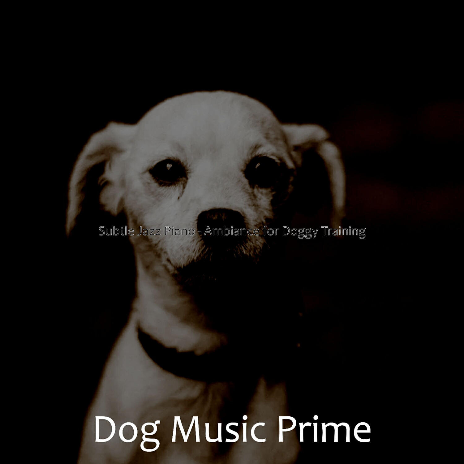 Dog Music Prime - Vivacious Solo Piano Jazz - Vibe for Doggy Training