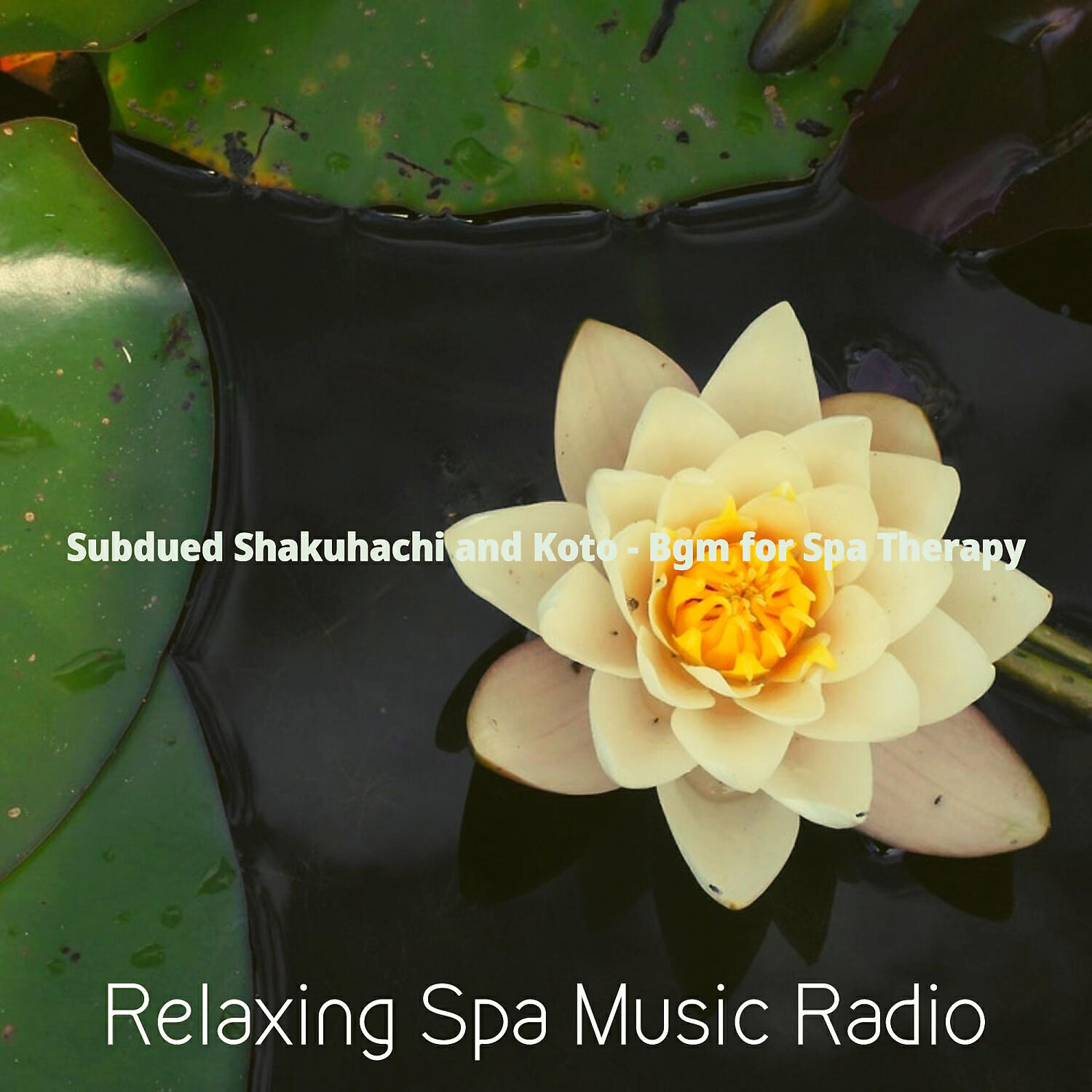 Relaxing Spa Music Radio - Extraordinary Shakuhachi and Harps - Vibe for Spa Packages