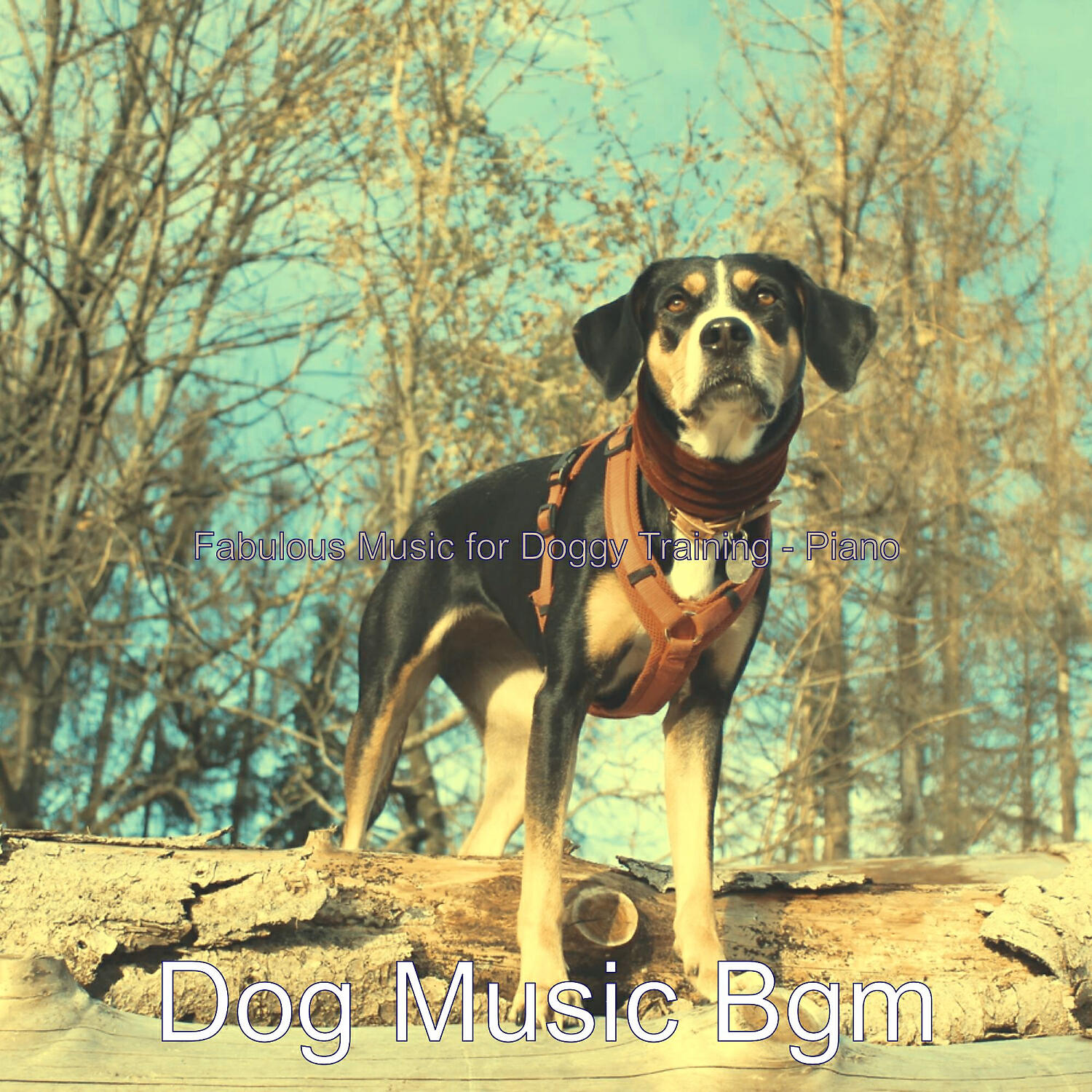 Dog Music Bgm - Outstanding Solo Piano Jazz - Vibe for Reducing Dog Stress