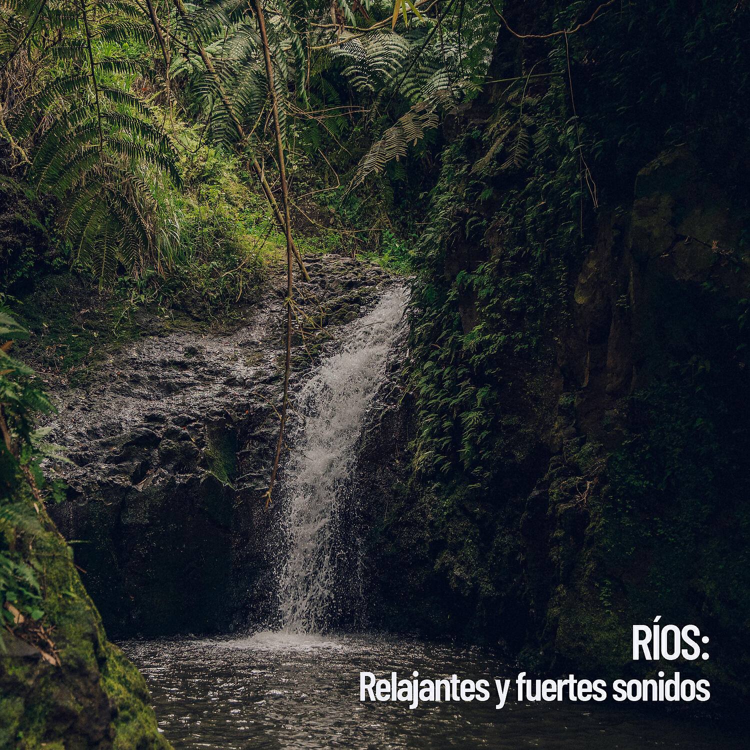 Waterfall Sounds - Corriente de gran alcance