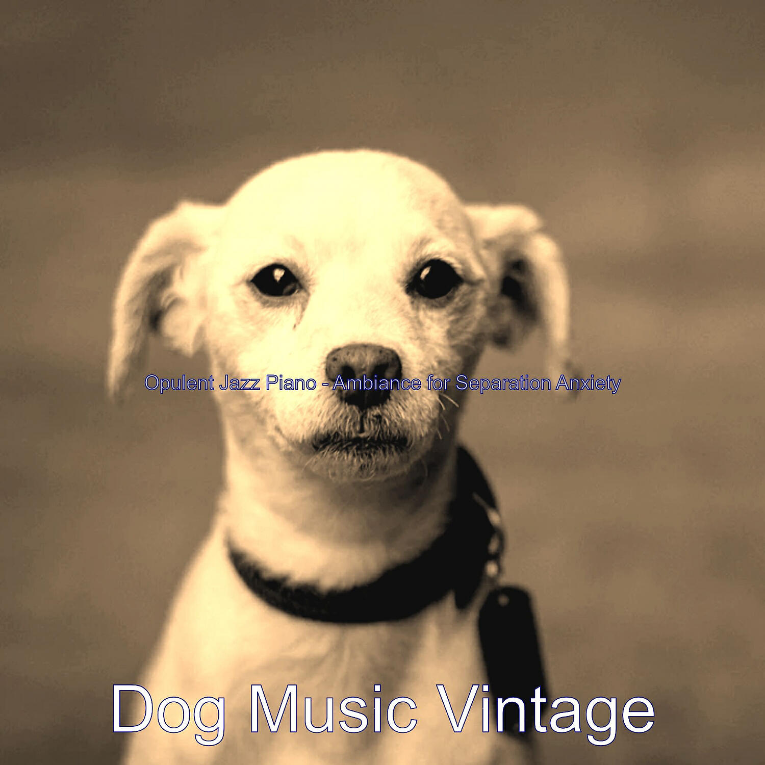 Dog Music Vintage - Mellow Solo Piano Jazz - Vibe for Resting Dogs