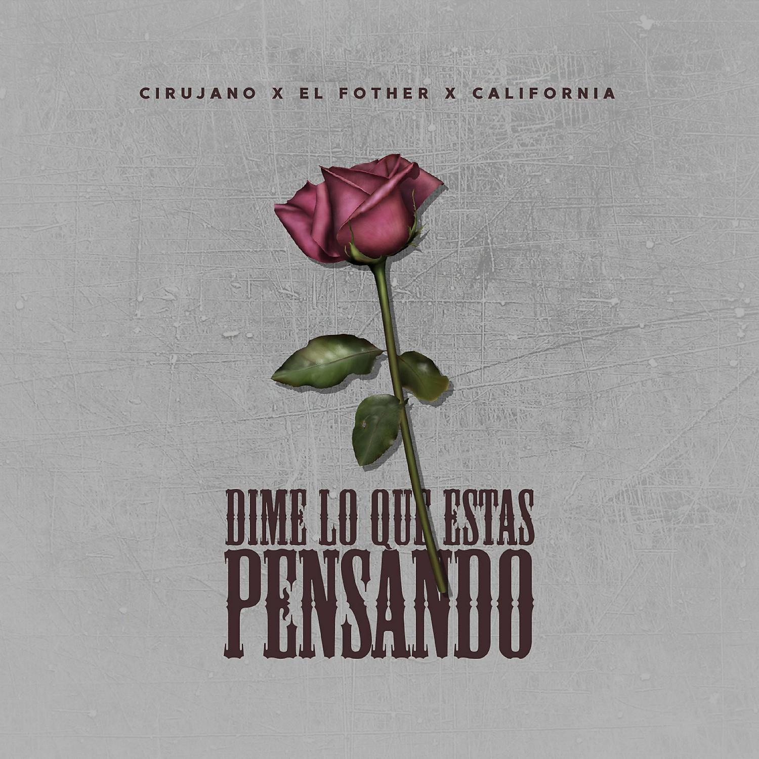 Постер альбома Dime Lo Que Estas Pensando (feat. El Fother & Califonia)