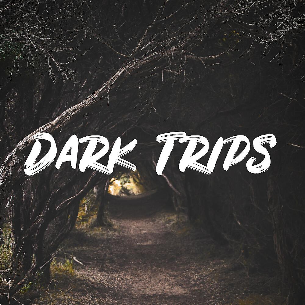 Постер альбома Dark Trips