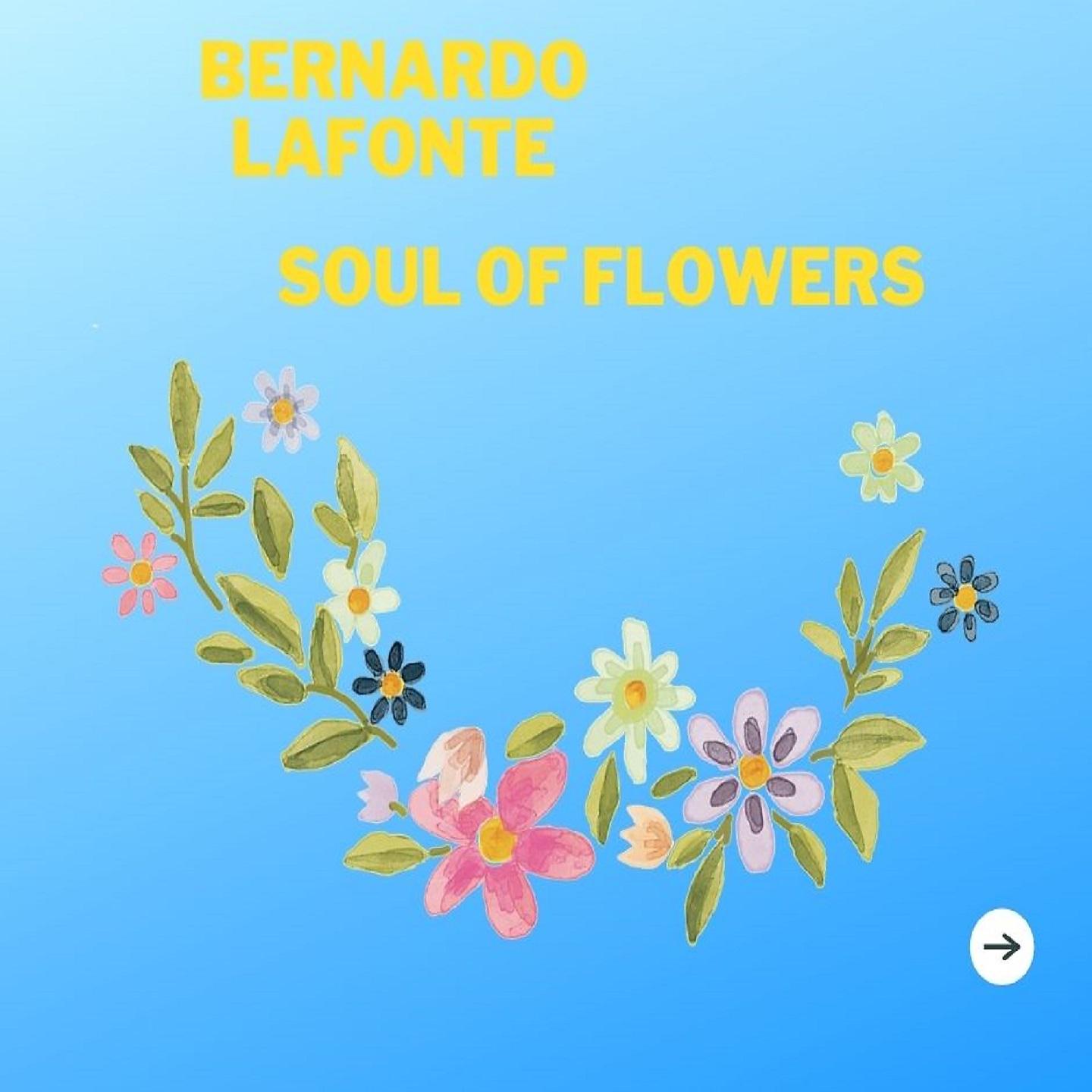 Постер альбома Soul of Flowers