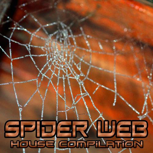 Постер альбома Spider Web
