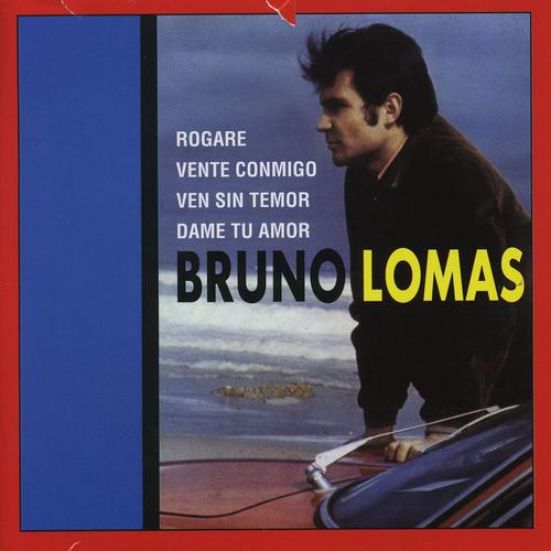 Постер альбома Bruno Lomas