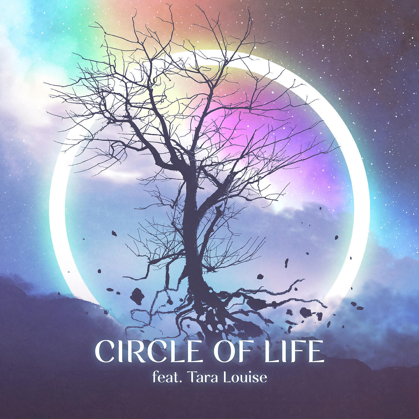 Shaheen Fahmy - Circle of Life