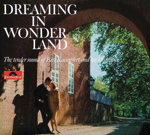 Постер альбома Dreaming In Wonderland (Remastered)