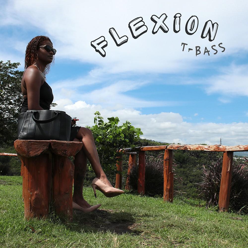 Постер альбома Flexion