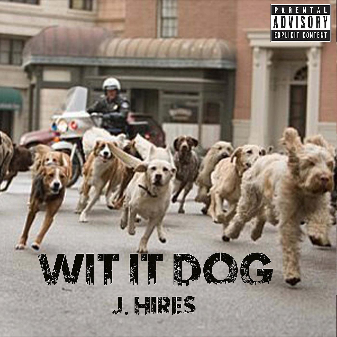 Постер альбома Wit It Dog