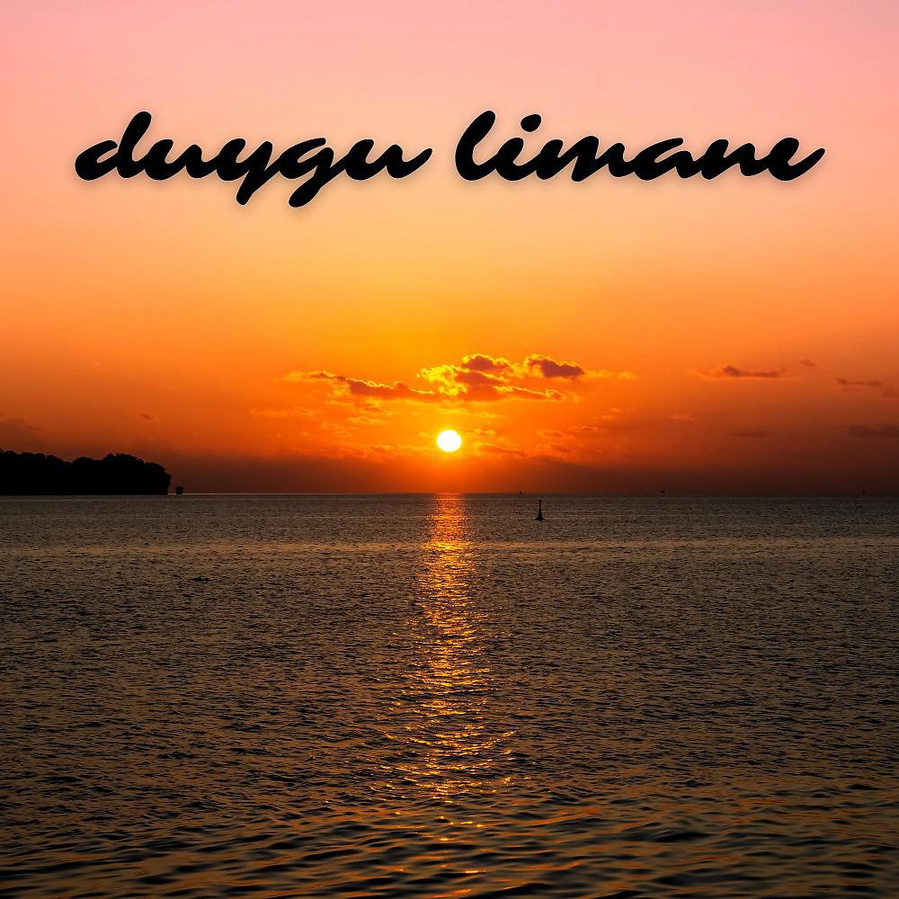 Постер альбома Duygu Limanı