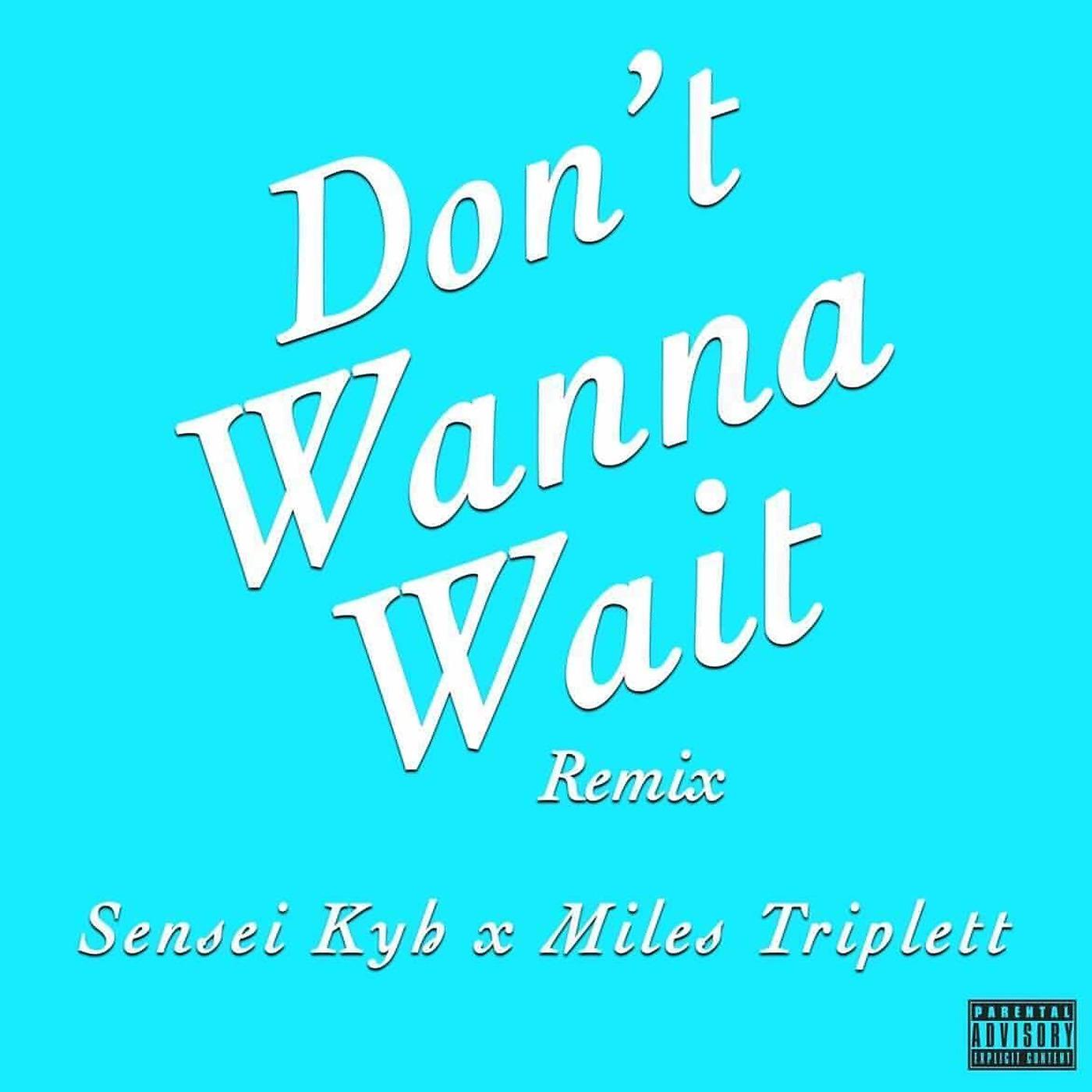 Постер альбома Don't Wanna Wait (Remix)