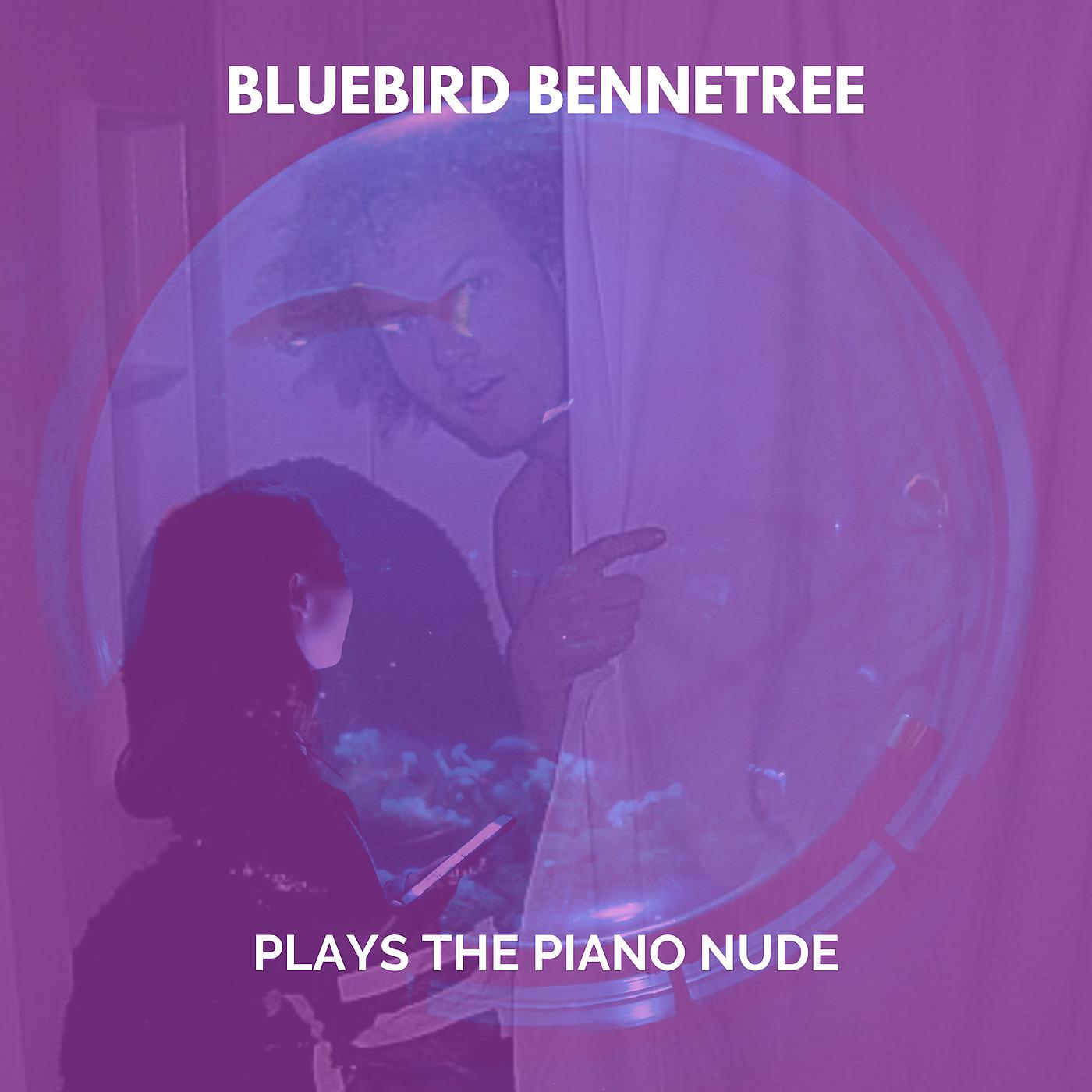 Постер альбома Plays the Piano Nude