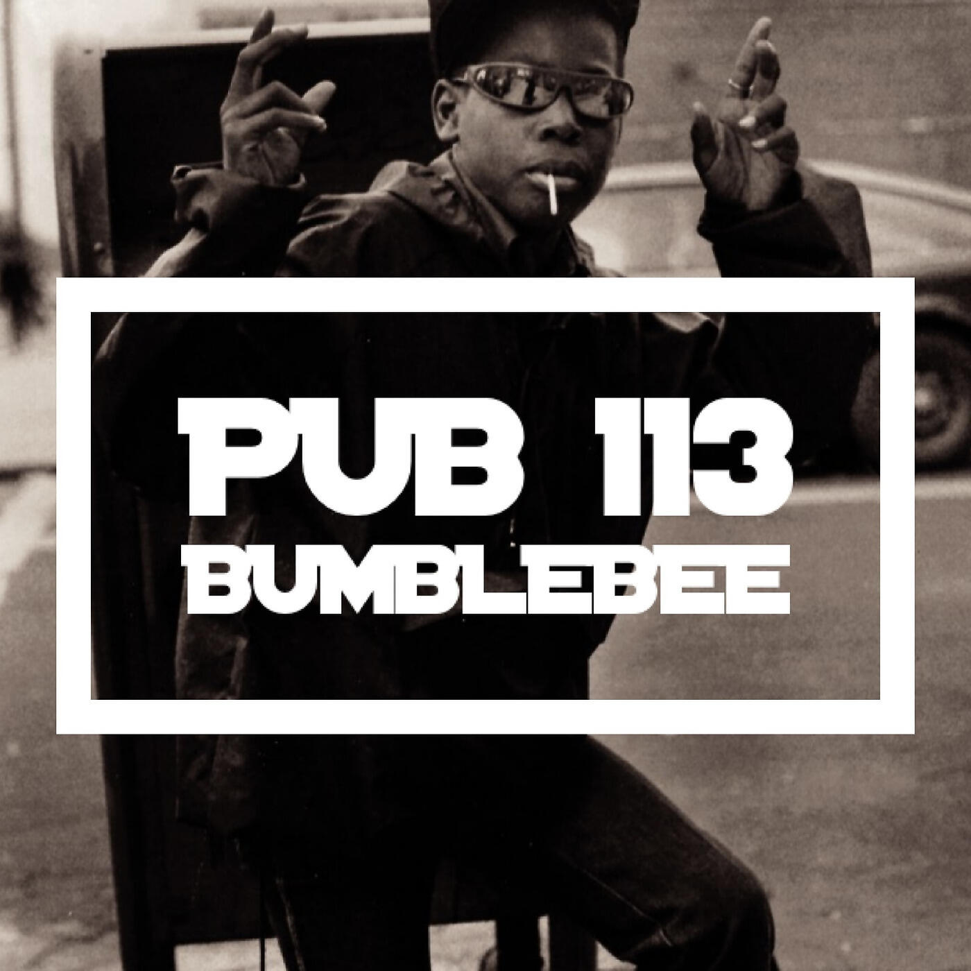 PUB 113 - Bumblebee