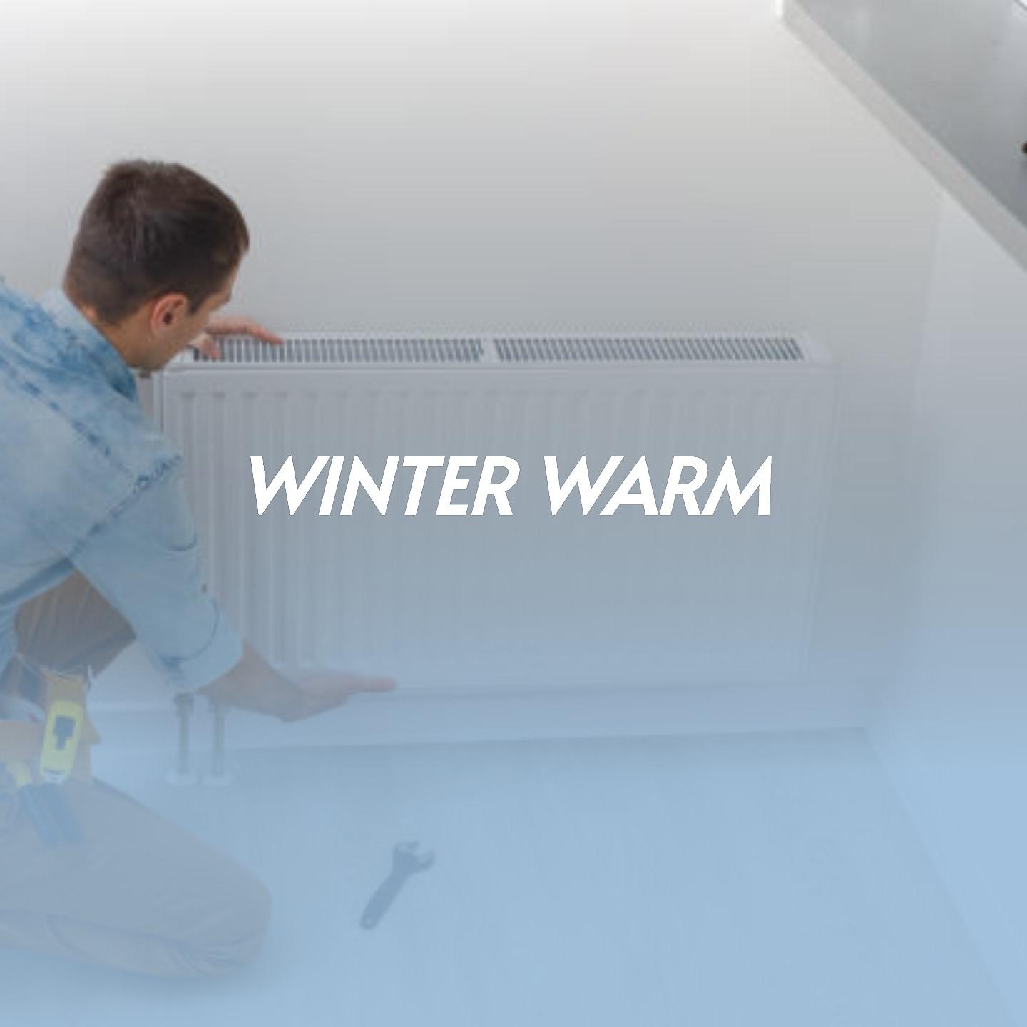 Постер альбома Winter Warm