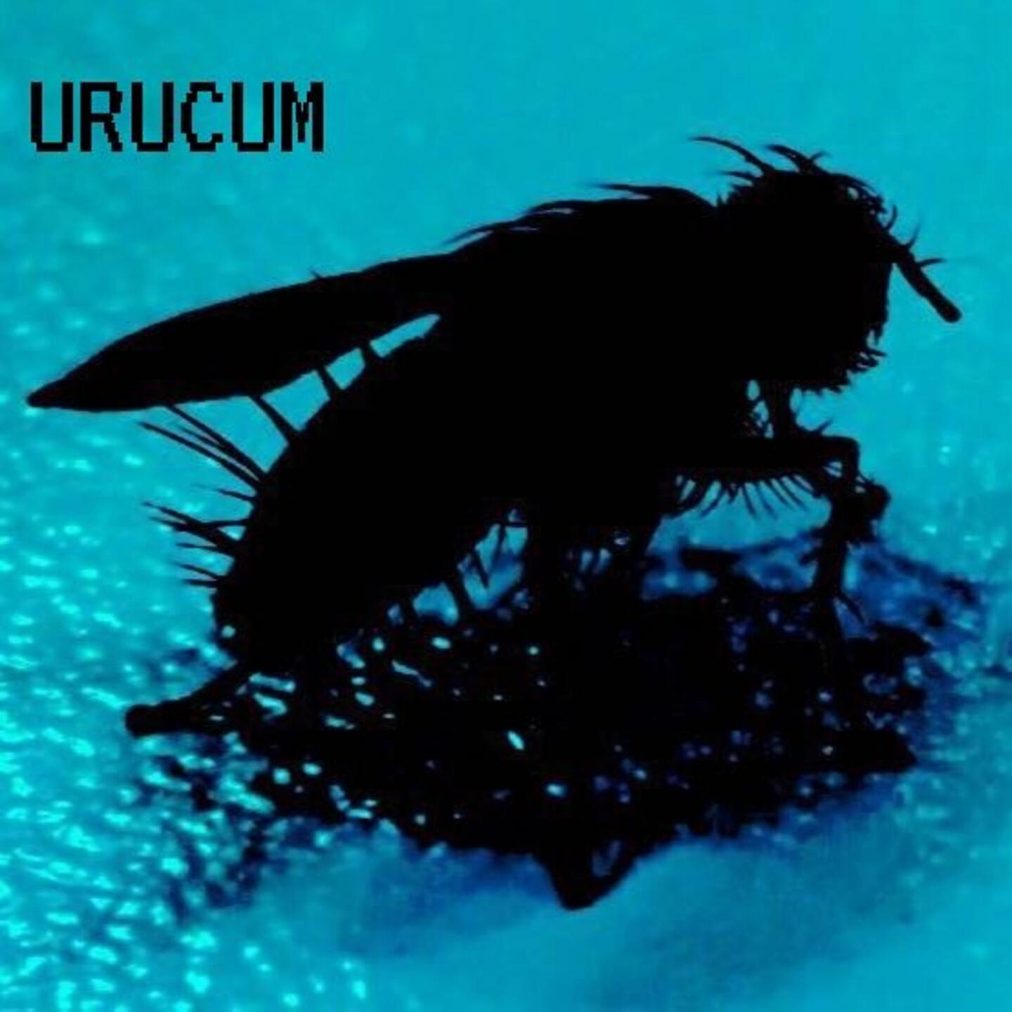 Urucum - Brown (Quarentena Session)