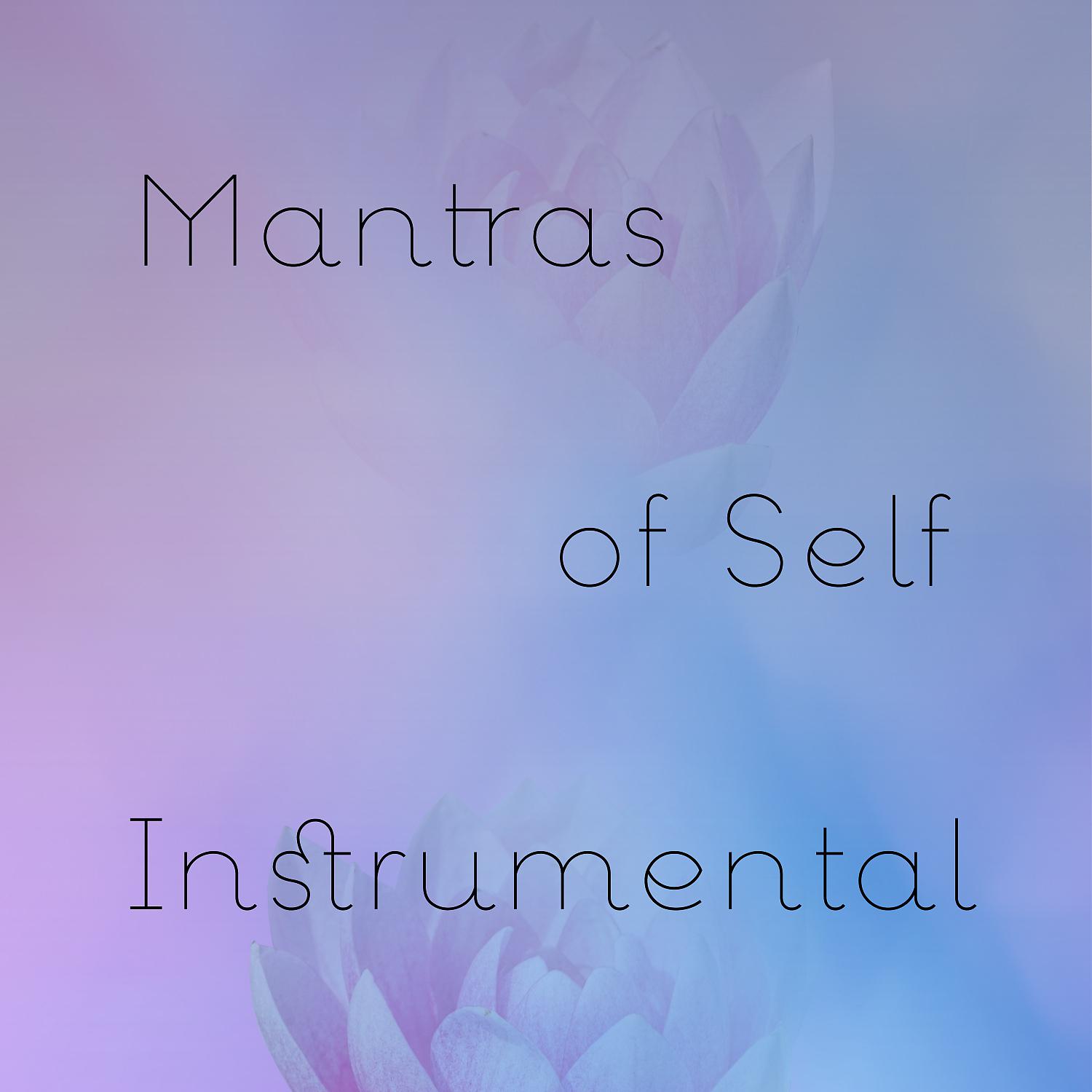 Постер альбома Mantras of Self (feat. Brice Salek) [Instrumental]