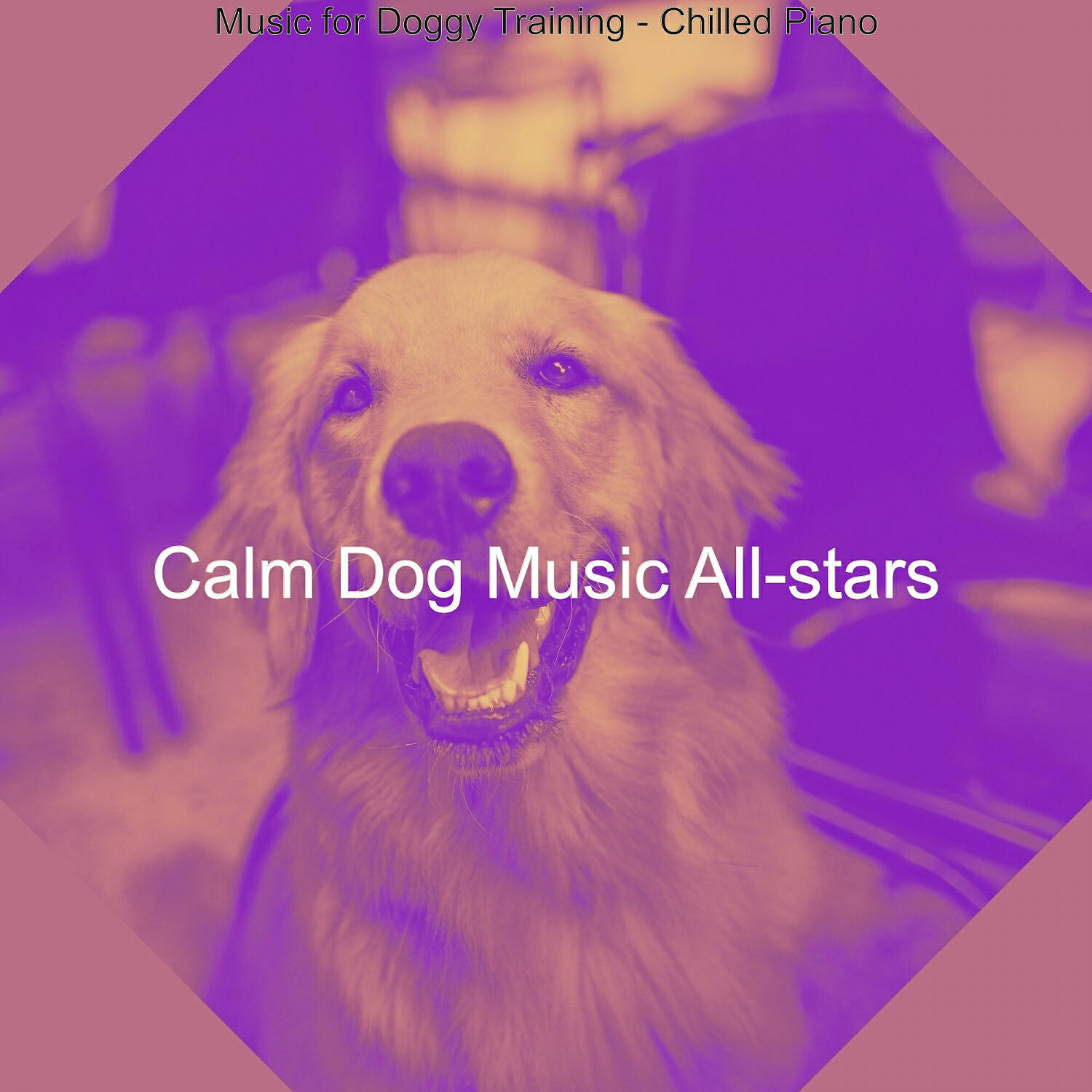 Calm Dog Music All-stars - Mind-blowing Solo Piano Jazz - Vibe for Walking Doggies