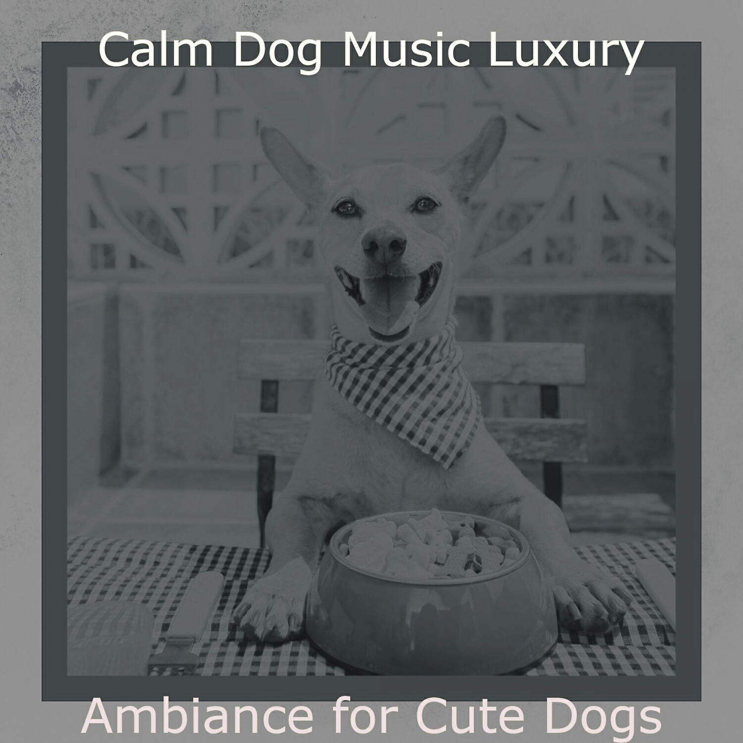 Calm Dog Music Luxury - Laid-back Music for Cute Dogs