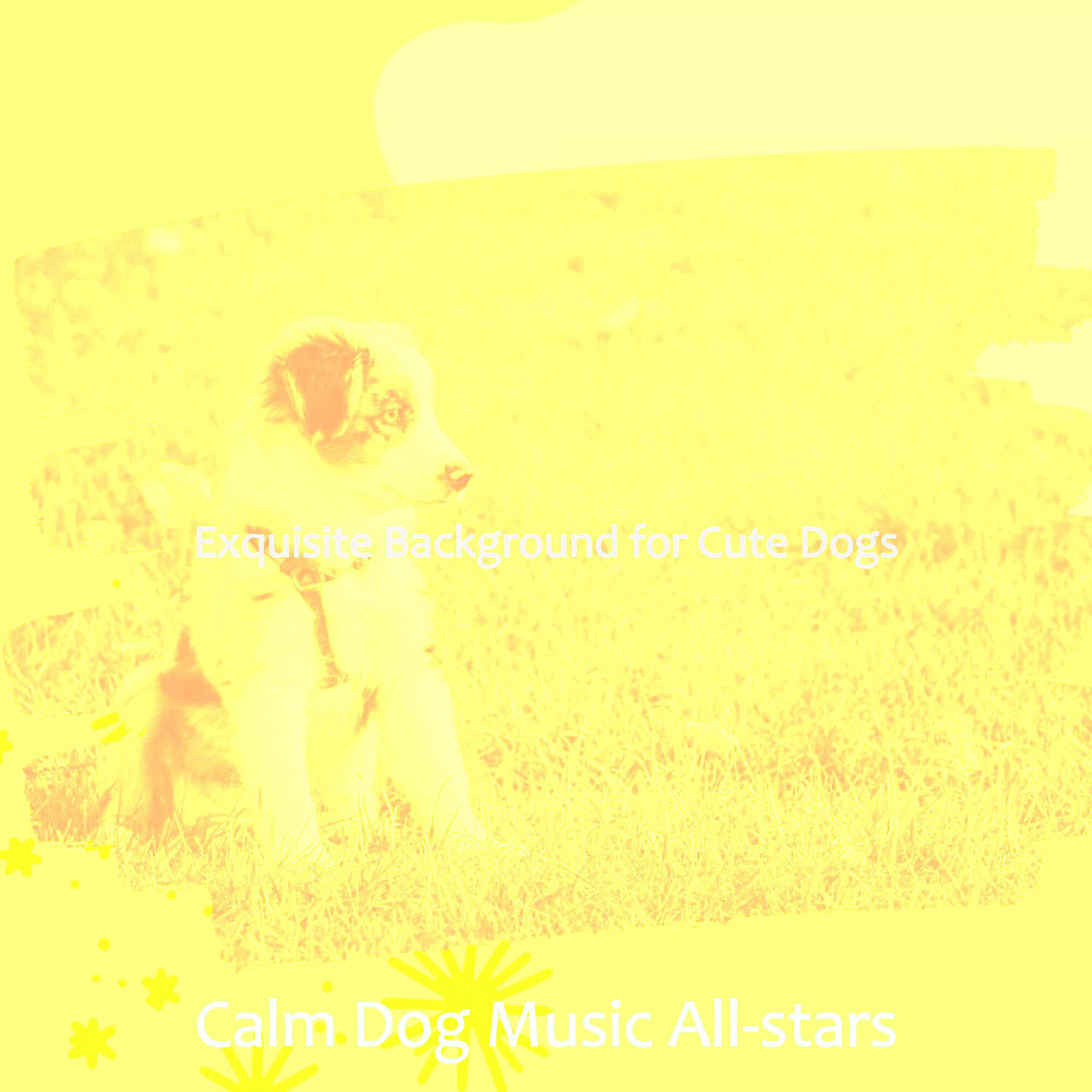 Calm Dog Music All-stars - Outstanding Solo Piano Jazz - Vibe for Walking Doggies