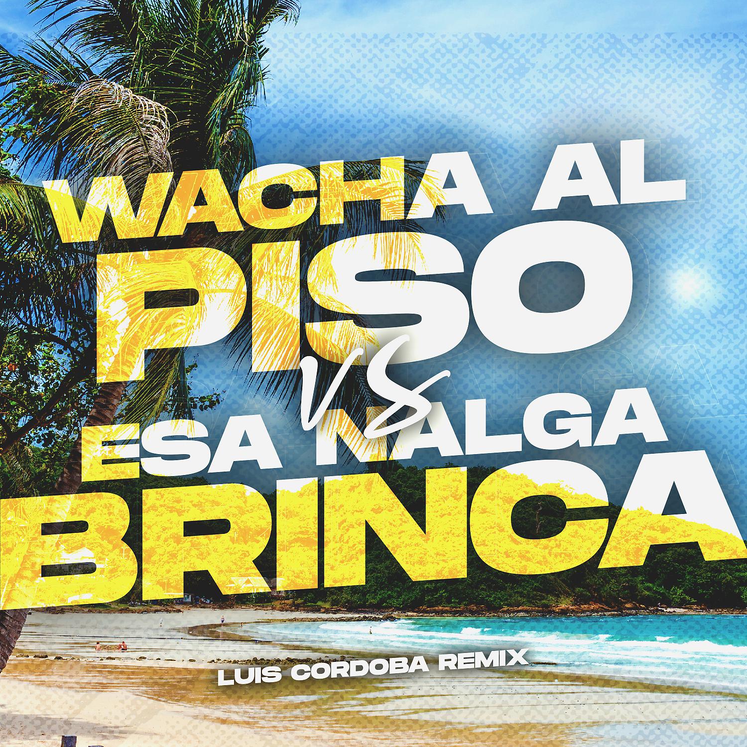 Постер альбома Wacha al Piso vs Esa Nalga Brinca