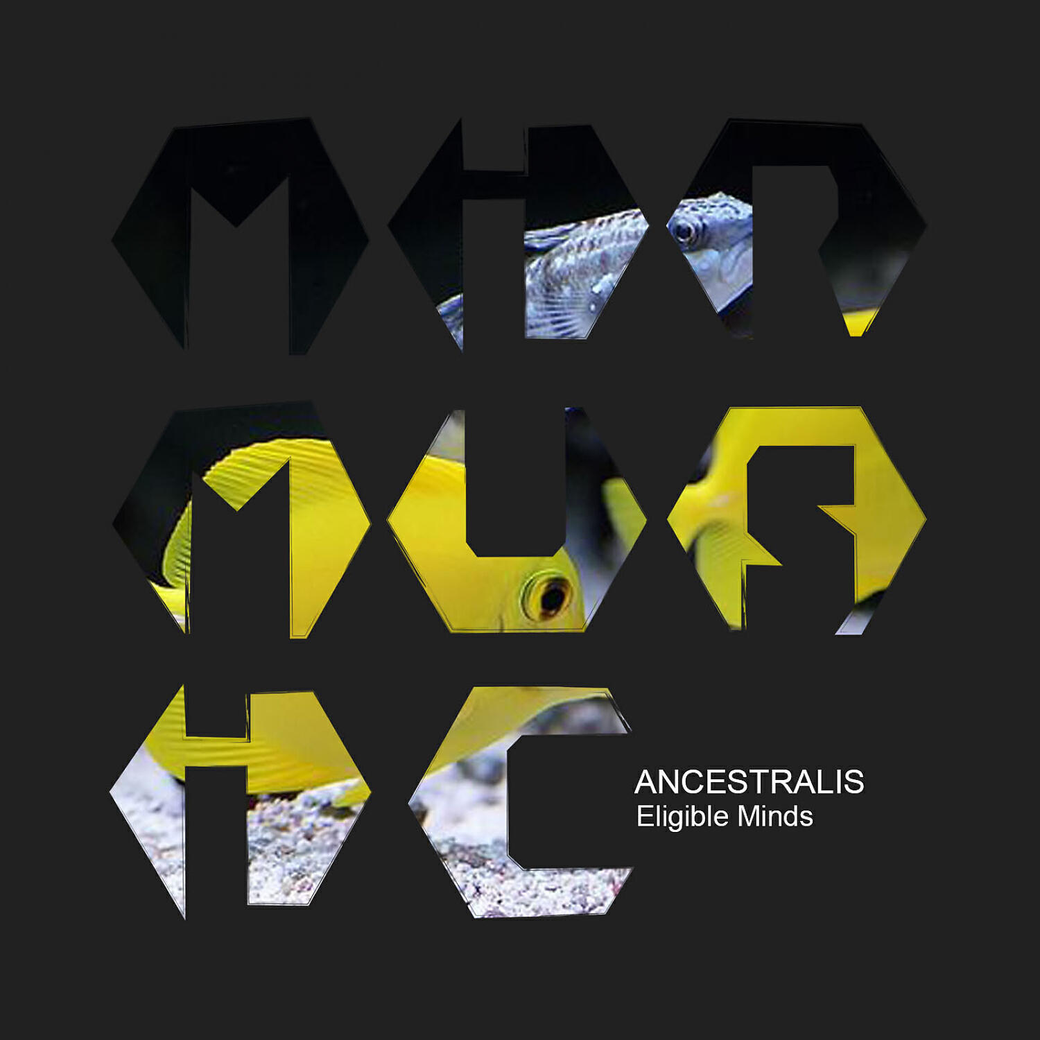 Ancestralis - Eligible Minds (Original Mix)