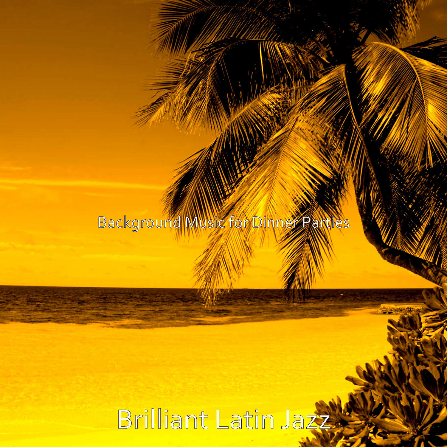 Brilliant Latin Jazz - Cool Moods for Beach Bars