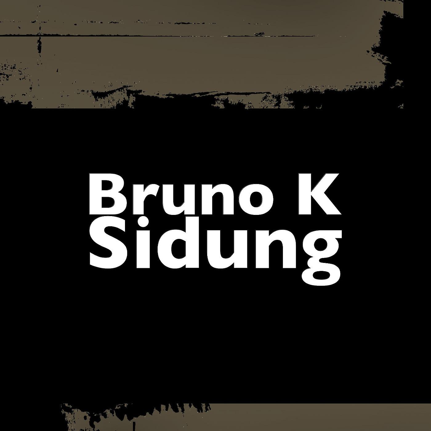 Постер альбома Sidung