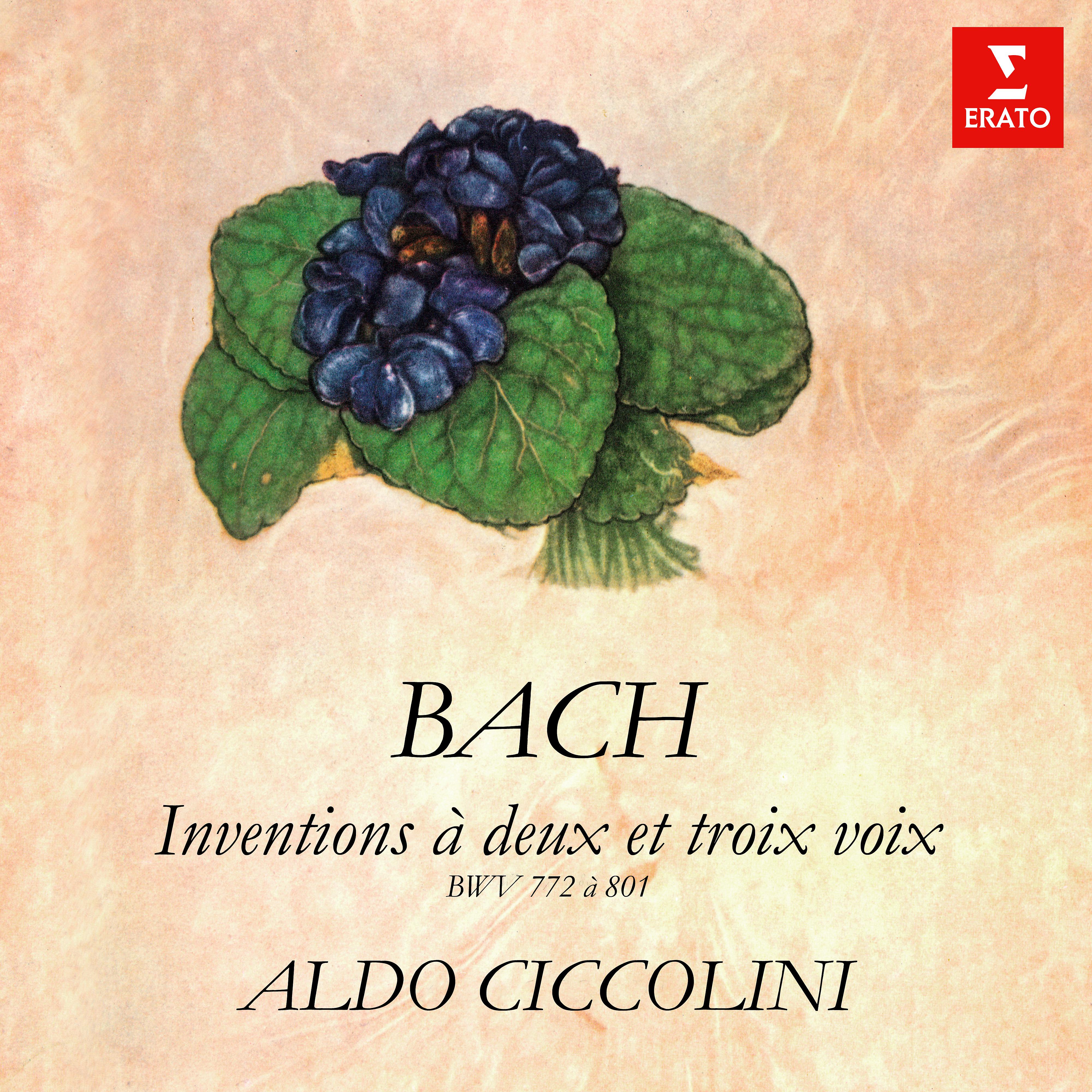 Постер альбома Bach: Inventions et sinfonies à deux et trois voix, BWV 772 - 801