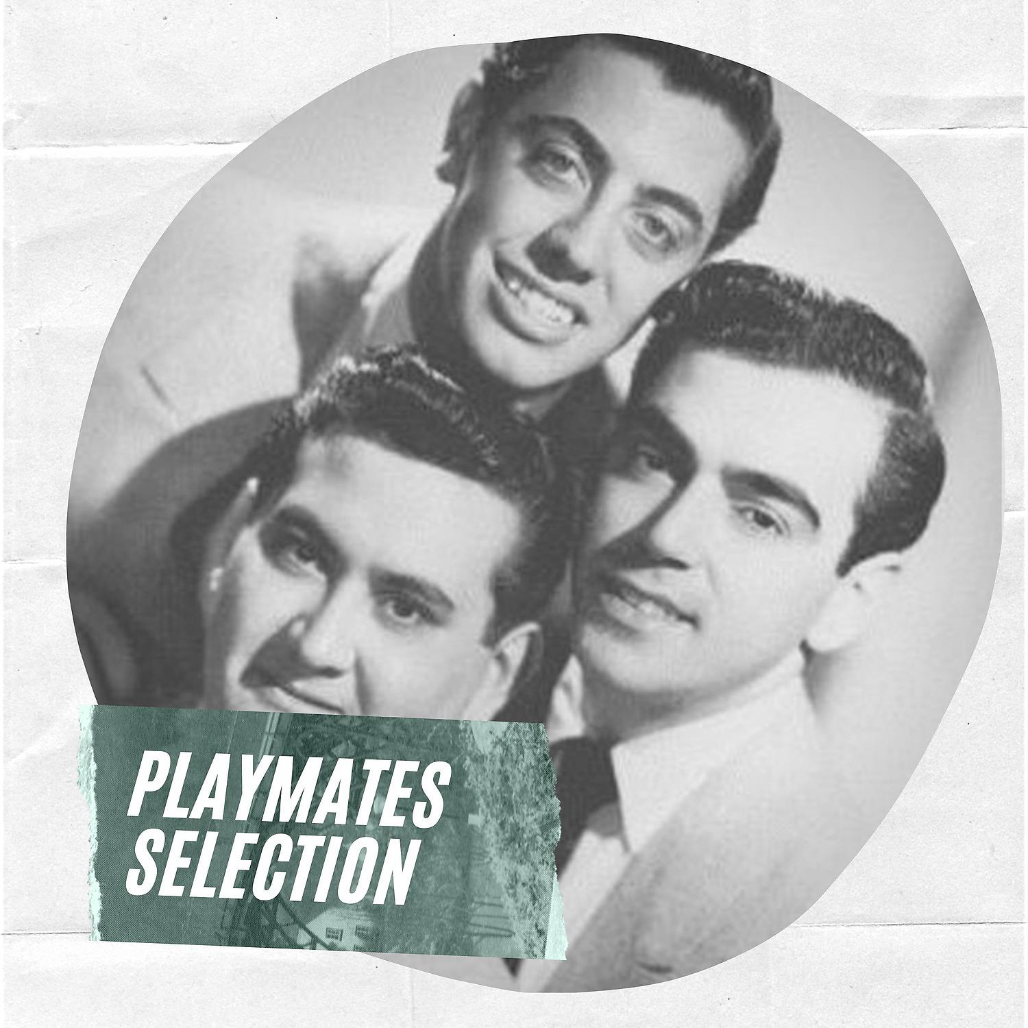 Постер альбома Playmates Selection