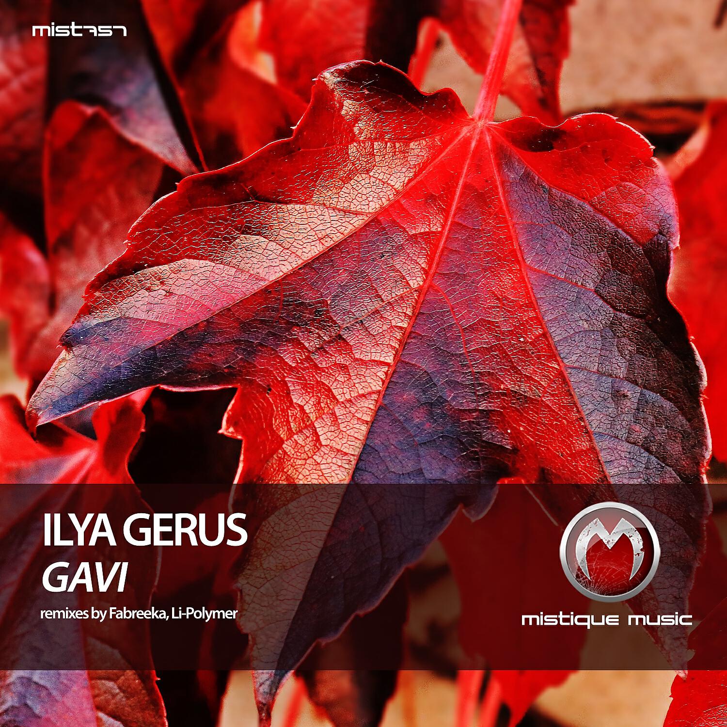 Ilya Gerus - Gavi (Li-Polymer Remix)