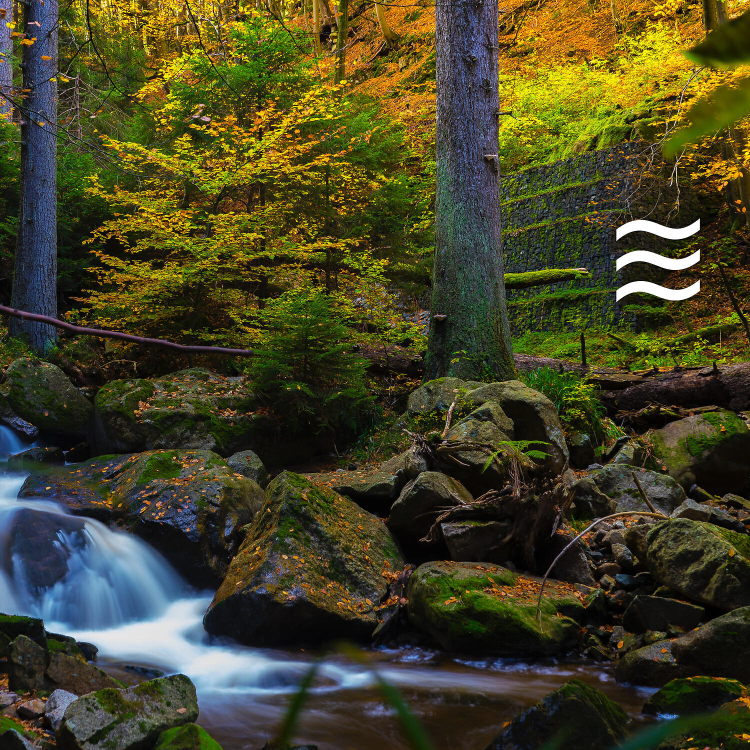 Noisy Brown Tones and Birds for sleep - Smooth Sober Noisy Nature and Brown Soughs