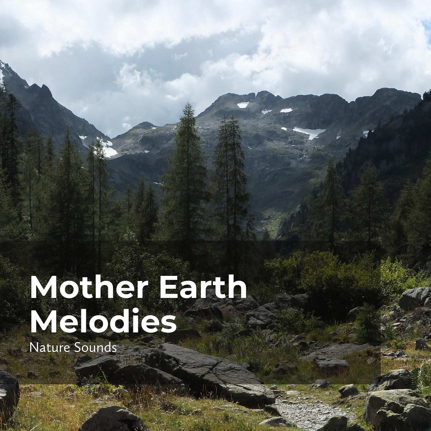 Постер альбома Mother Earth Melodies