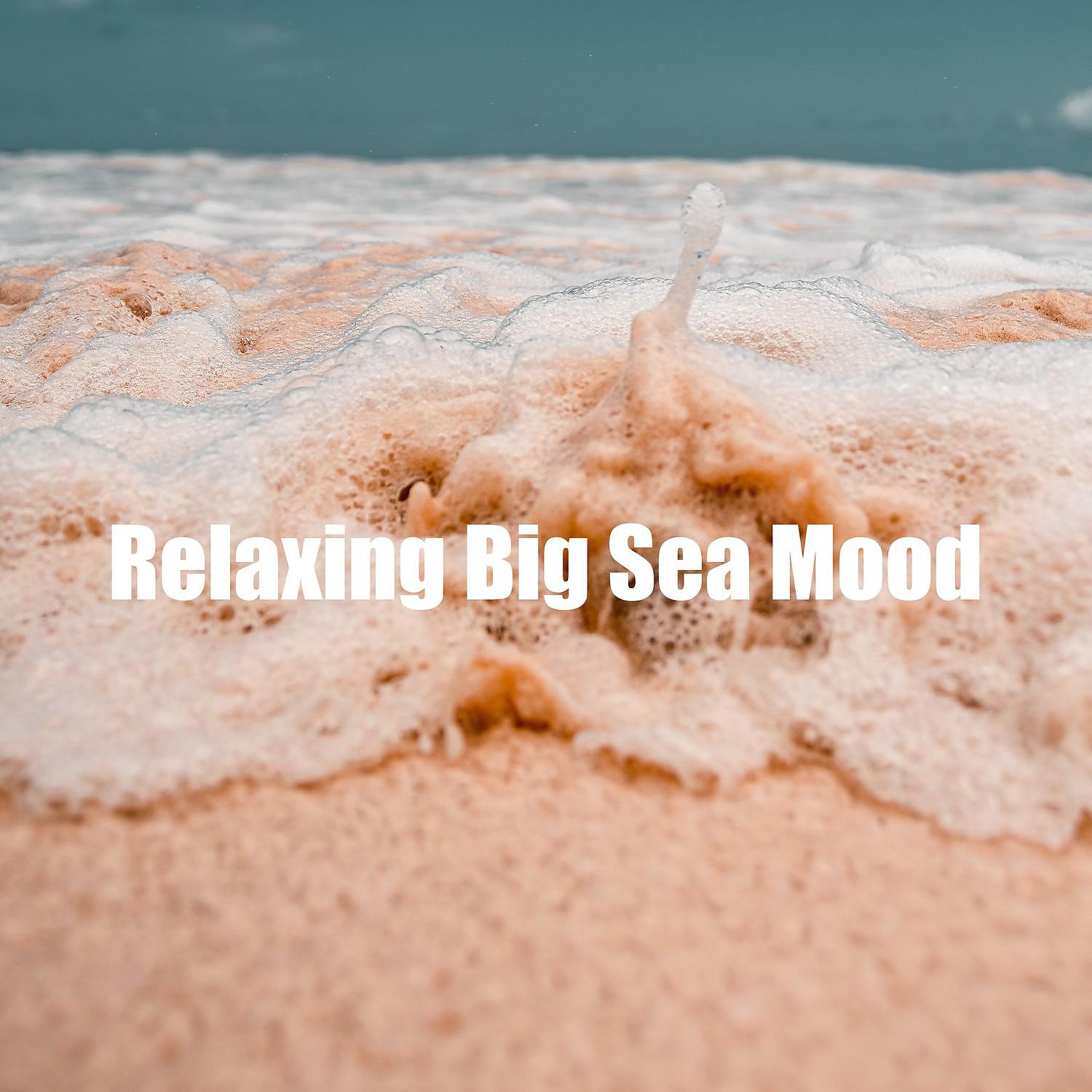 Постер альбома Relaxing Big Sea Mood