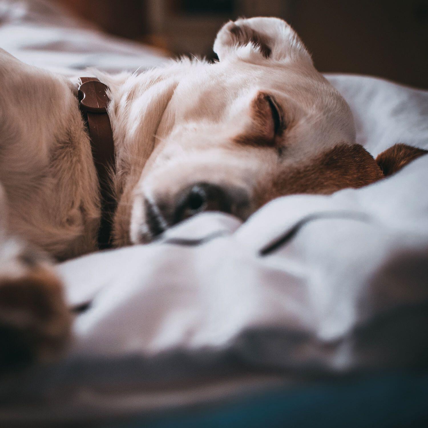 Fine Working Noises for Calm&Sleep - Calm&Relax Noise for Relief