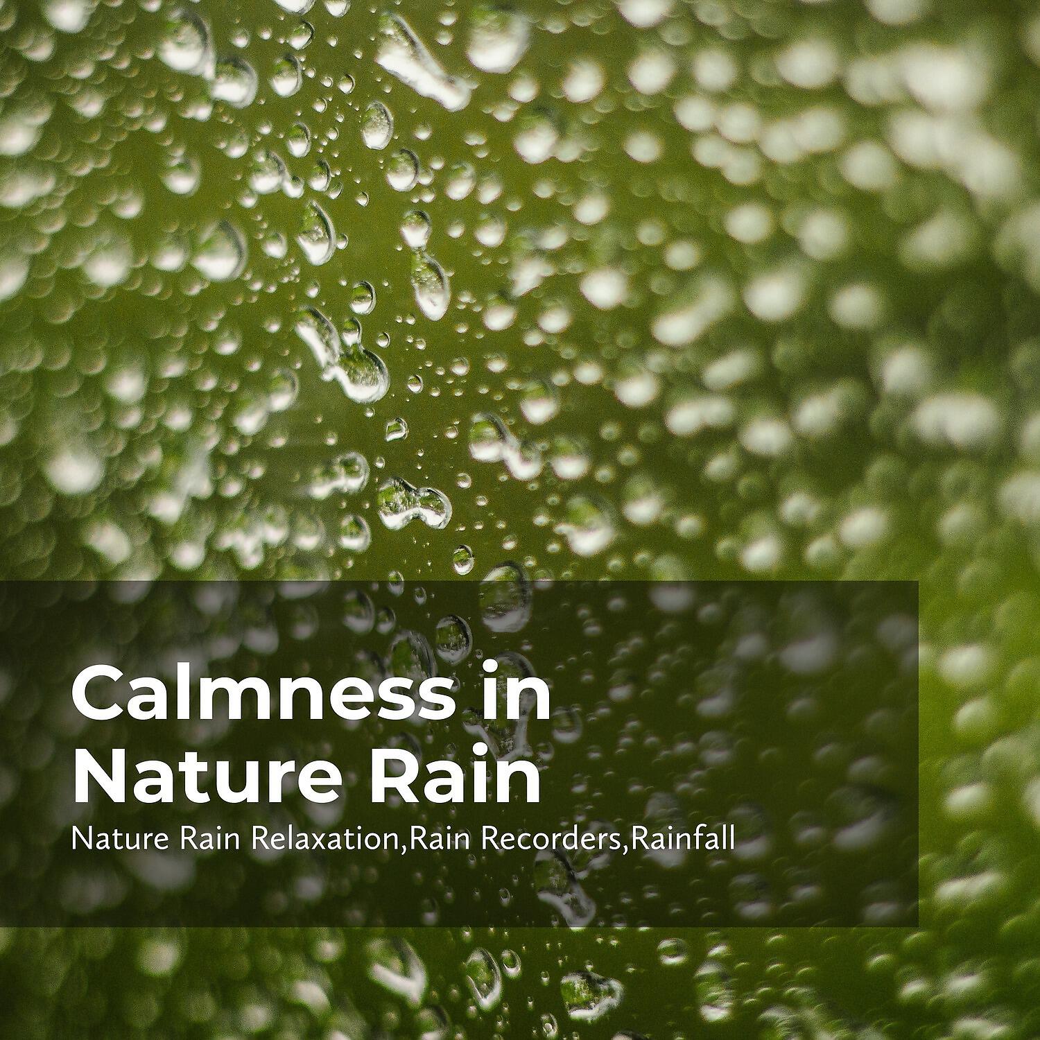 Rainfall - Pristine Rain Forest