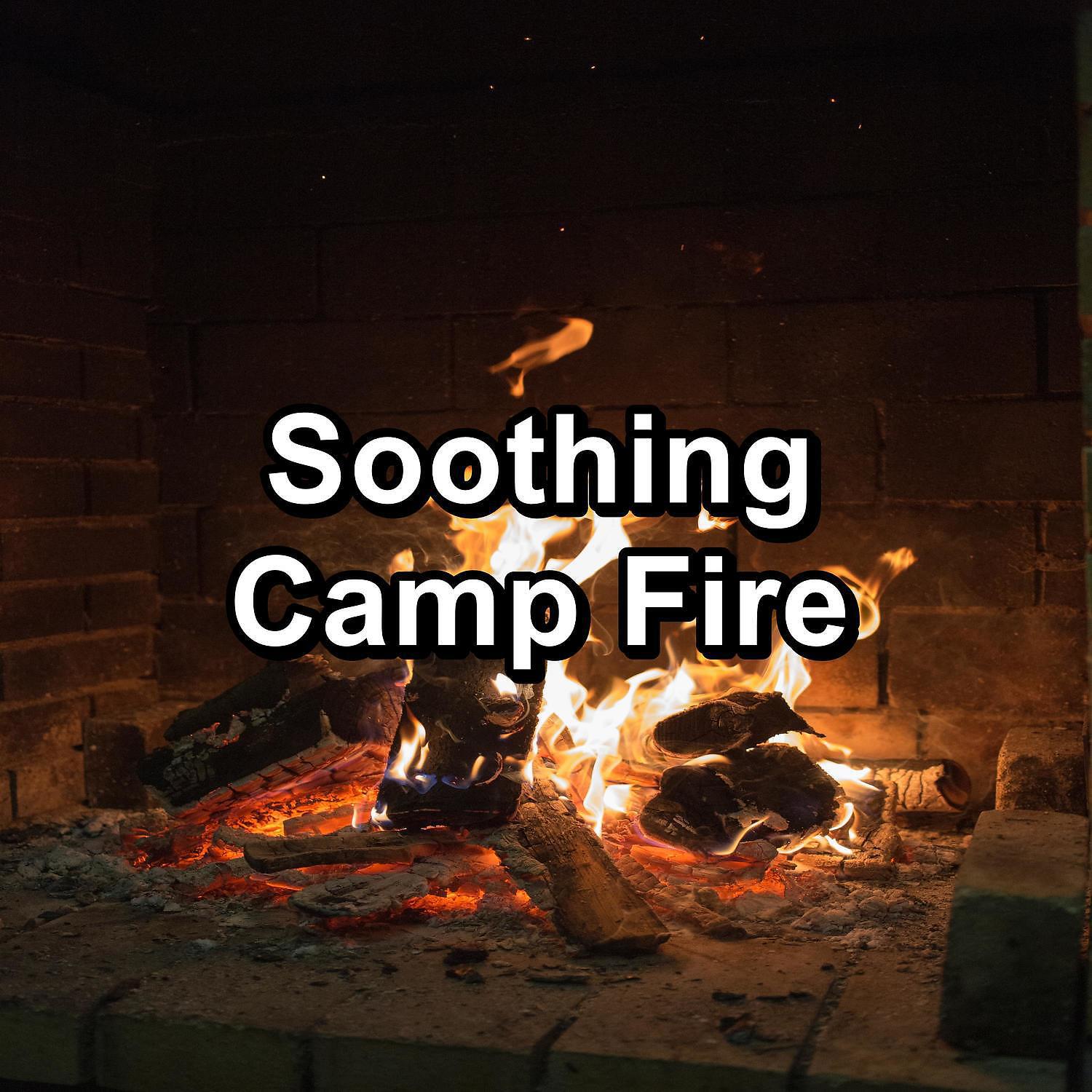 Crackling Fire Sounds - Christmas Fireplace in the Nature Relaxing Nature Sounds