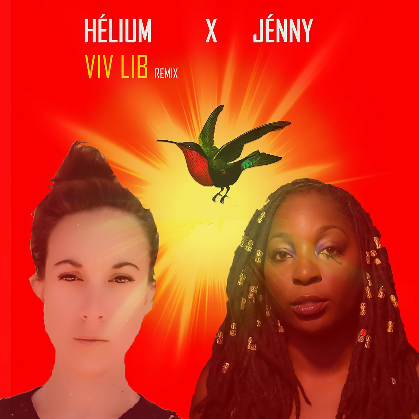 Постер альбома Viv lib (Remix)