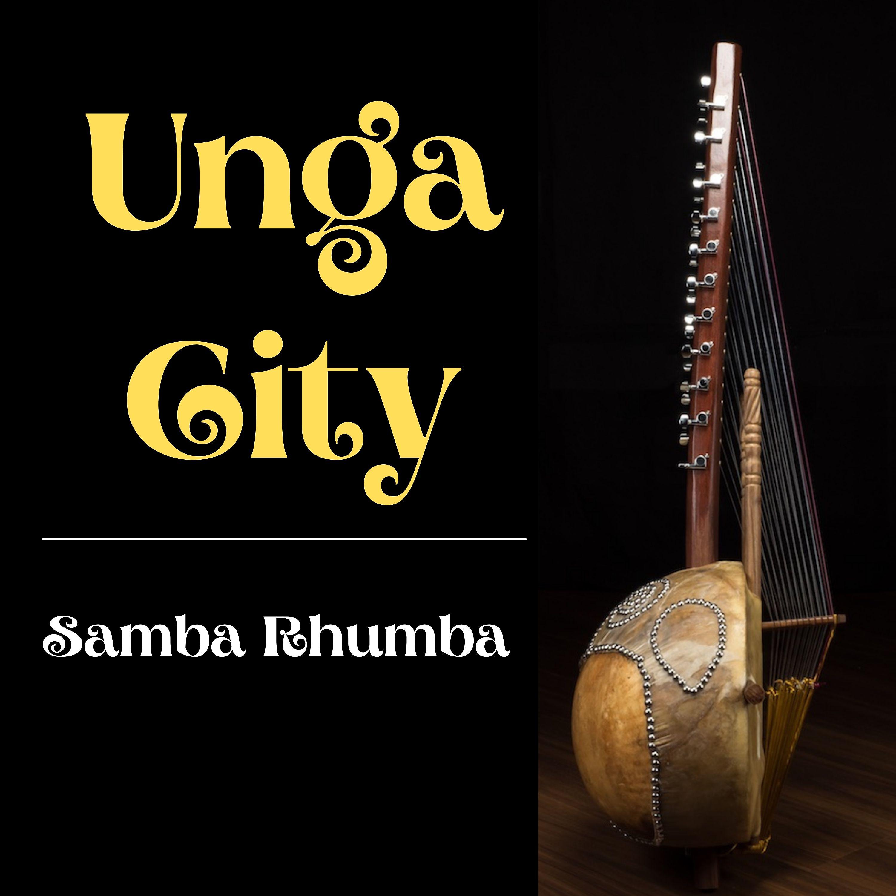 Постер альбома Unga City
